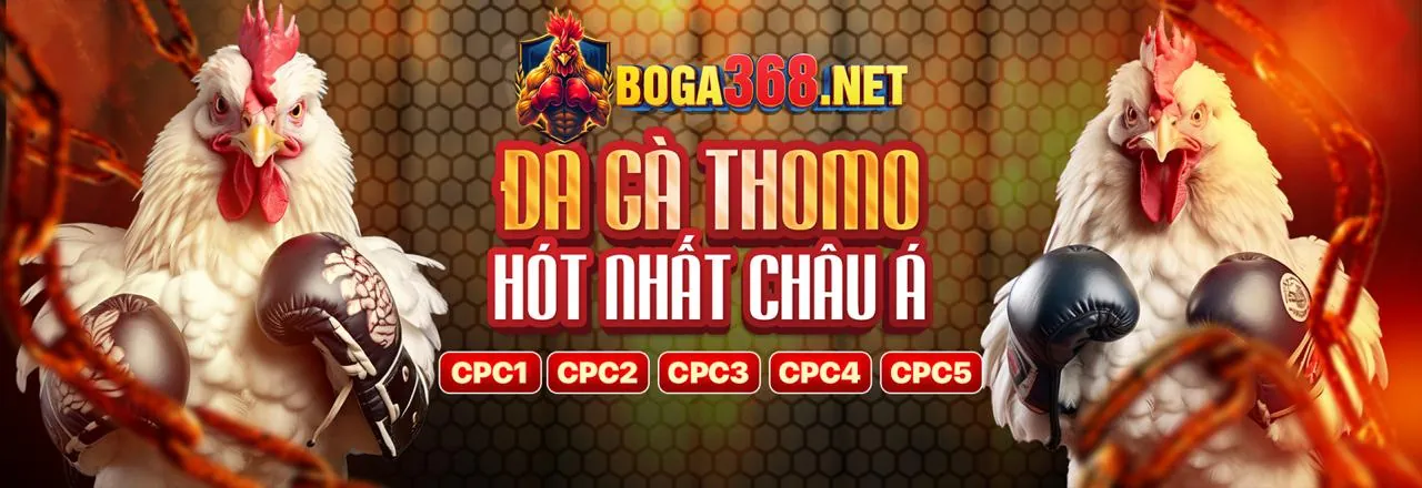 Cá cược đá gà onbet app